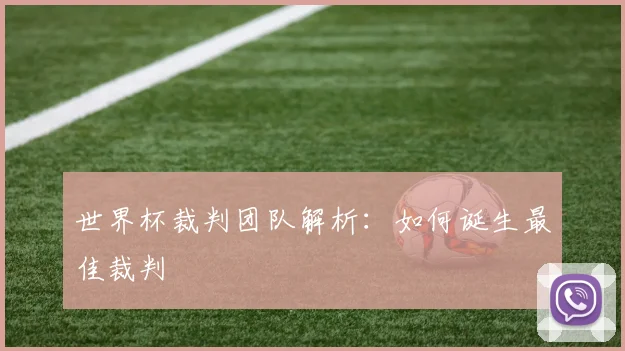 世界杯裁判团队解析：如何诞生最佳裁判